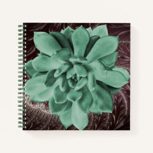 Cuaderno Echeveria verde exitosa Apus Closeup Photo