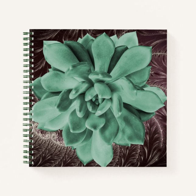 Cuaderno Echeveria verde exitosa Apus Closeup Photo (Anverso)