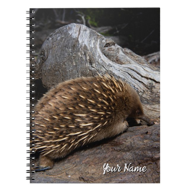 Cuaderno Echidna Australia (Frente)