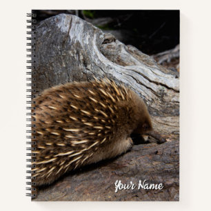 Cuaderno Echidna Australia