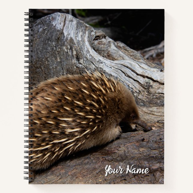 Cuaderno Echidna Australia (Anverso)
