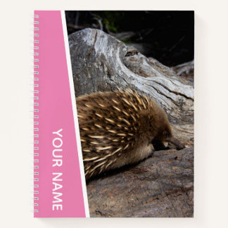 Cuaderno Echidna Australia Cute Animal Espinoso, Rosa
