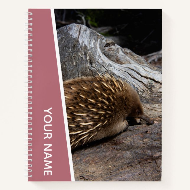 Cuaderno Echidna Australia Cute Animal Spiky, oro Rosa (Anverso)