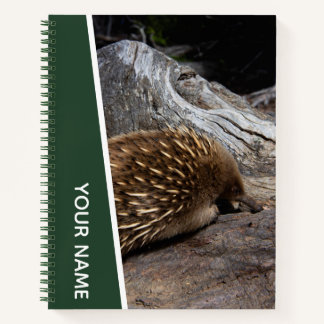 Cuaderno Echidna Australia Cute Spiky Animal, Verde