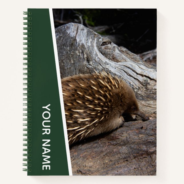 Cuaderno Echidna Australia Cute Spiky Animal, Verde (Anverso)