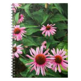 Cuaderno Echinacea Purpurea, deflor morado