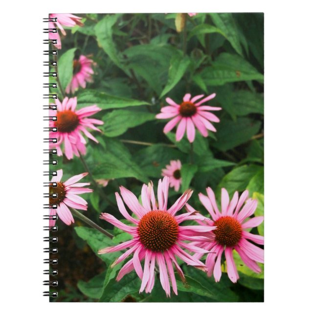 Cuaderno Echinacea Purpurea, deflor morado (Frente)