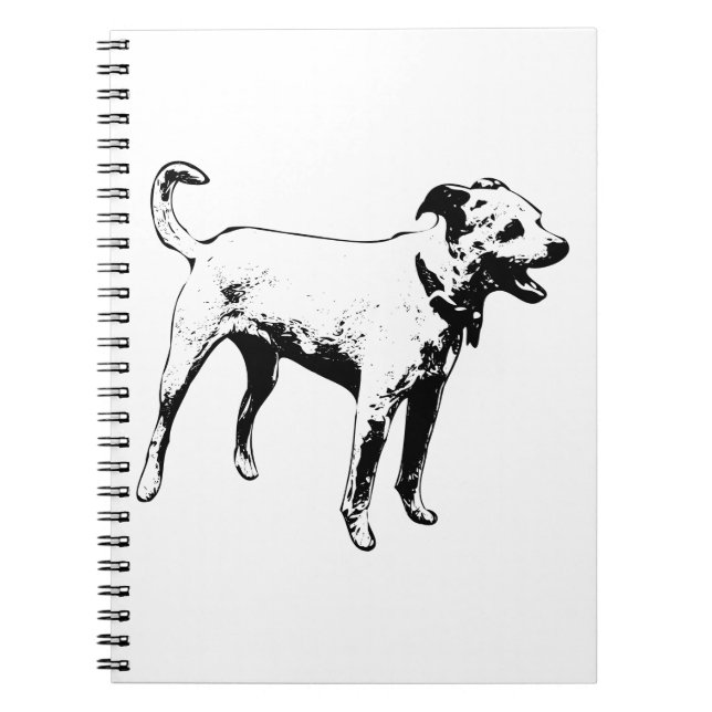Cuaderno Echo inquieto (Frente)