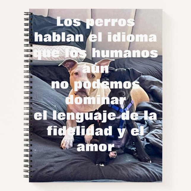 Cuaderno Ecuador (Anverso)