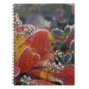 Cuaderno EE. UU., Alaska, PN Denali Helado, colorido de oto