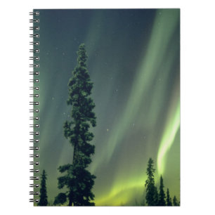 Cuaderno EE. UU., área de Fairbanks, Alaska central, Aurora