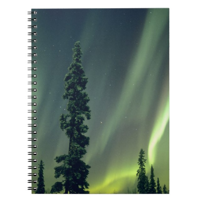 Cuaderno EE. UU., área de Fairbanks, Alaska central, Aurora (Frente)
