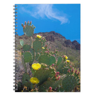 Cuaderno EE.UU., Arizona. Cactus En Las Colinas