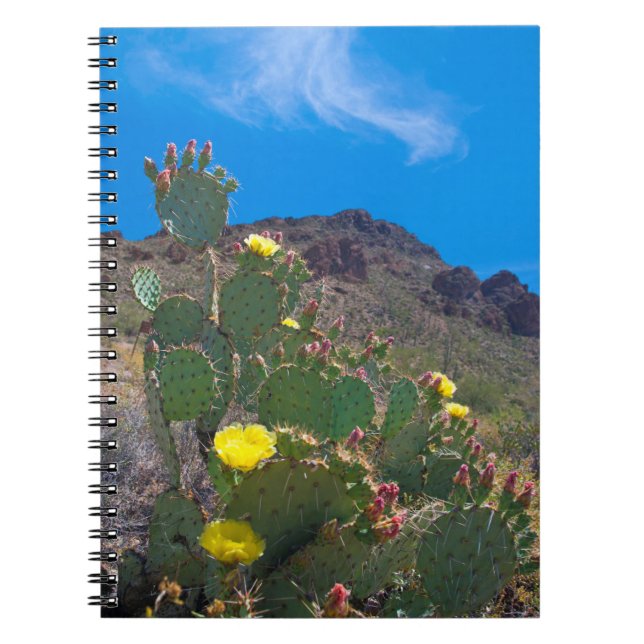 Cuaderno EE.UU., Arizona. Cactus En Las Colinas (Frente)