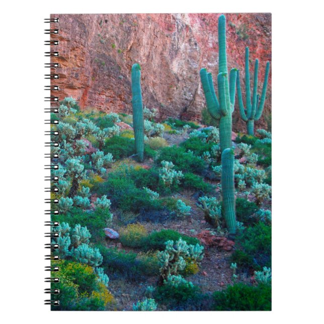 Cuaderno EE.UU., Arizona. Flora del desierto (Frente)