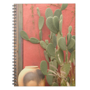 Cuaderno EE. UU., Arizona, Tucson: Distrito Histórico Presi