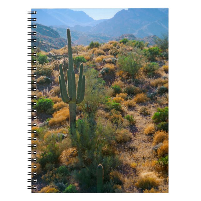 Cuaderno EE.UU., Arizona. Vista del desierto (Frente)