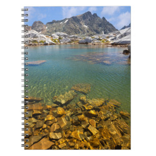 Cuaderno EE. UU., California, Bosque Nacional Inyo 8
