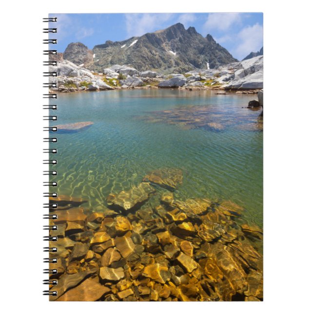 Cuaderno EE. UU., California, Bosque Nacional Inyo 8 (Frente)