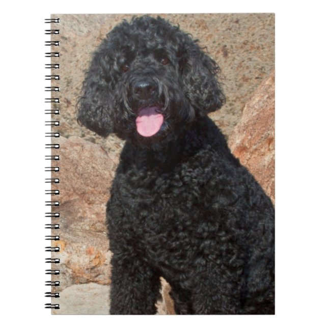 Cuaderno EE. UU., California. Labradoodle Sentado (Frente)