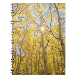 Cuaderno EE. UU., California, Montañas de la Sierra Nevada.