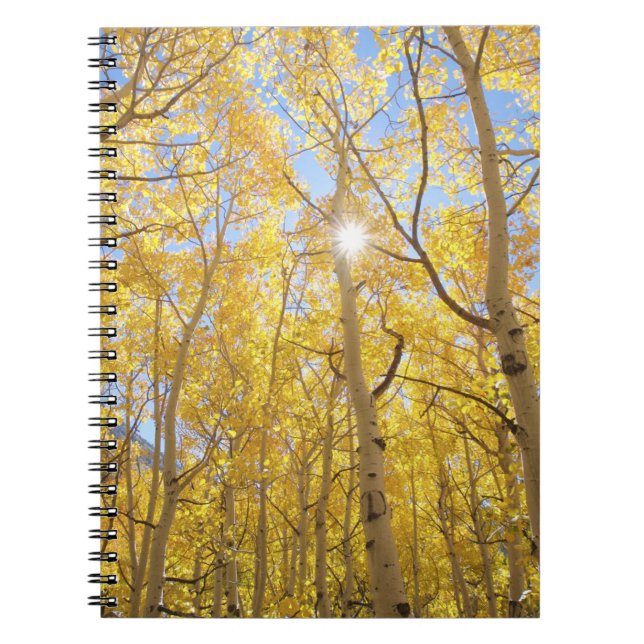 Cuaderno EE. UU., California, Montañas de la Sierra Nevada. (Frente)