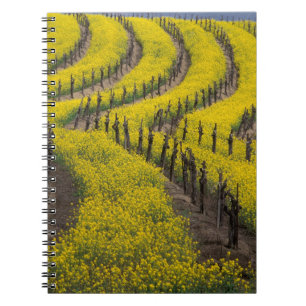 Cuaderno EE. UU., California, Napa Valley, Los Carneros Ava