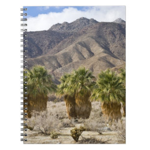Cuaderno EE. UU., California, Parque Estatal del Desierto d