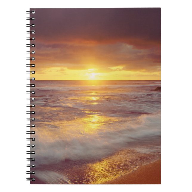 Cuaderno EE. UU., California, San Diego. Playa Sunset Cliff (Frente)