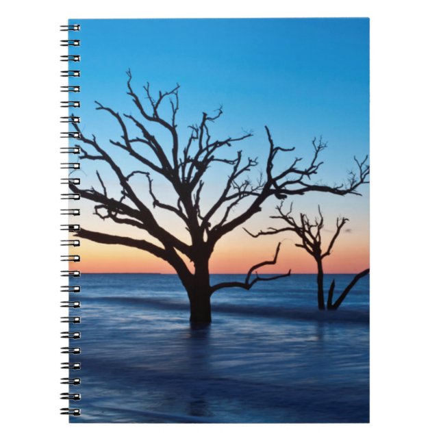 Cuaderno EE.UU., Carolina del Sur, Isla Edisto, Botany Bay (Frente)