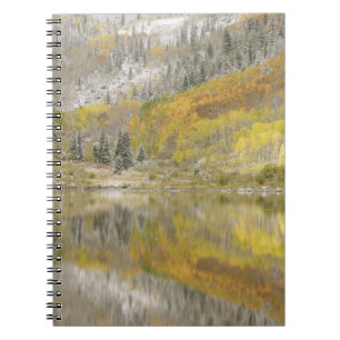 Cuaderno EE. UU., Colorado, Bosque Nacional White River, 2