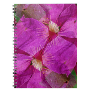 Cuaderno EE. UU., Colorado, Boulder. Montaje de flores de c