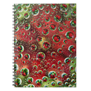 Cuaderno EE. UU., Colorado, Lafayette. Burbujas de agua en