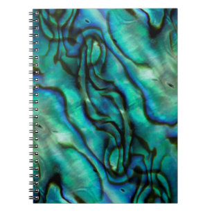 Cuaderno EE. UU., Colorado, Lafayette. Montaje de concha de