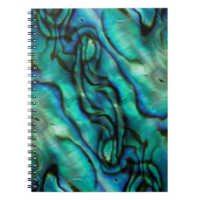Cuaderno EE. UU., Colorado, Lafayette. Montaje de concha de (Frente)
