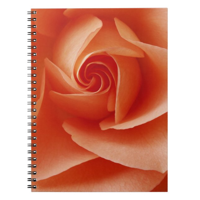 Cuaderno EE. UU., Colorado, Lafayette. Rosa melocotón prime (Frente)