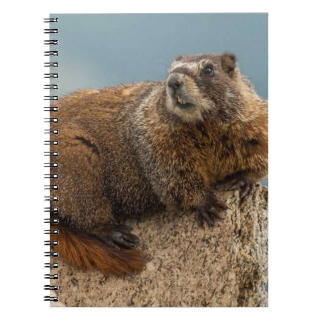Cuaderno EE. UU., Colorado, montañas San Juan 2 (Frente)