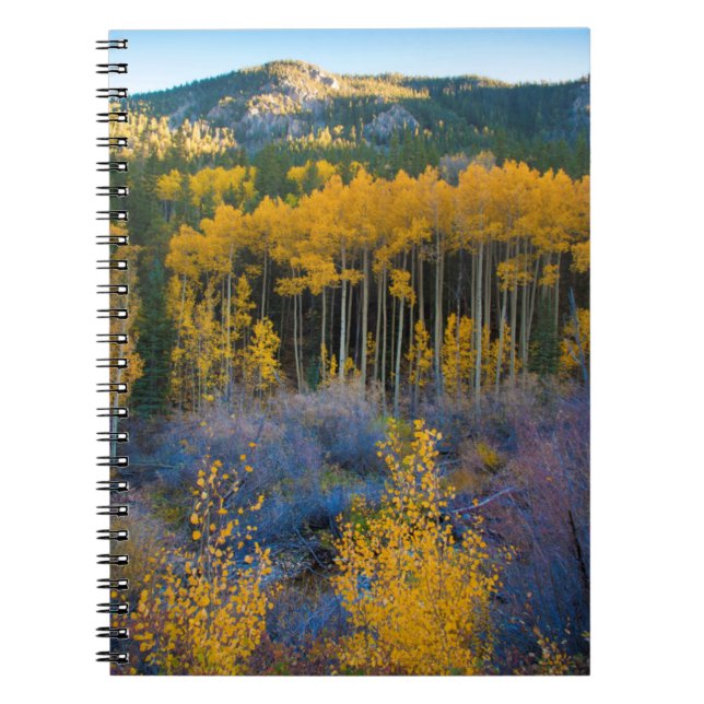 Cuaderno EE.UU., Colorado. Perros amarillos brillantes en r (Frente)