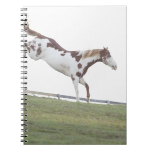Cuaderno EE.UU., estado de Nueva York, Hudson, caballo salt