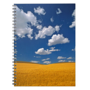 Cuaderno EE. UU., Estado de Washington, Colfax. La cebada m