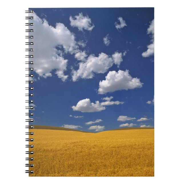 Cuaderno EE. UU., Estado de Washington, Colfax. La cebada m (Frente)