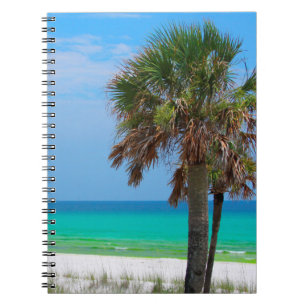 Cuaderno EE. UU., Florida. Palmeras en la Costa Esmeralda