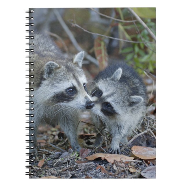 Cuaderno EE. UU., Florida, Sanibel, Ding Darling Nacional (Frente)