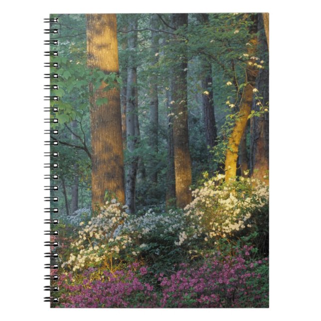 Cuaderno EE. UU., Georgia, Callaway Gardens, bosque de Azal (Frente)