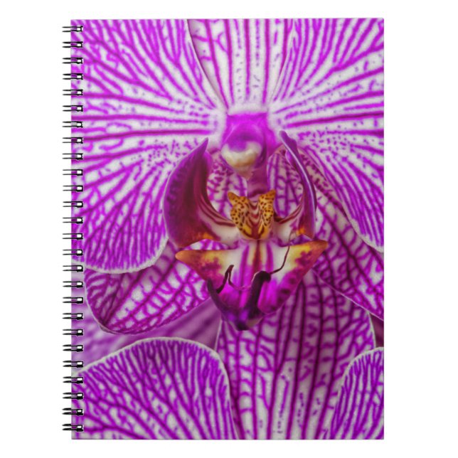 Cuaderno EE. UU., Georgia, Savannah, Primer plano de orquíd (Frente)
