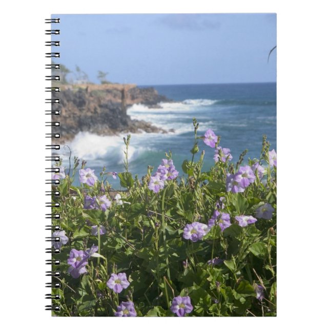 Cuaderno EE. UU., Hawái, Kauai, cerca de Kapaa, noroeste (Frente)