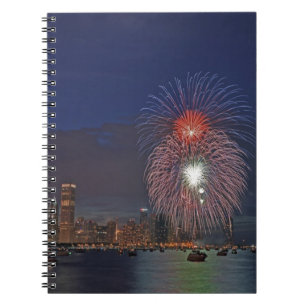 Cuaderno EE. UU., Illinois, Chicago, fuegos artificiales de