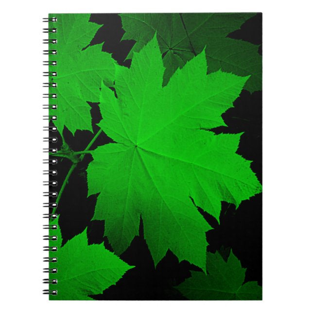 Cuaderno EE. UU., Kansas, Hojas de roble a la luz (Frente)