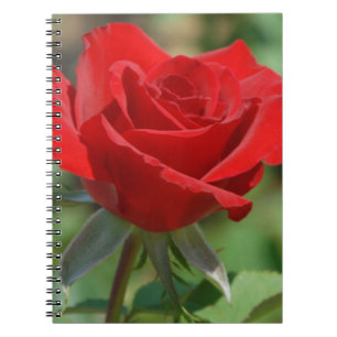 Cuaderno EE. UU., Kansas, Rosa Roja