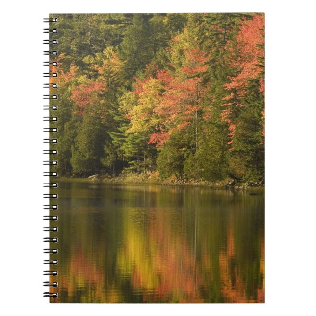 Cuaderno EE. UU.; Maine; Acadia NP. Reflejos de otoño en (Frente)